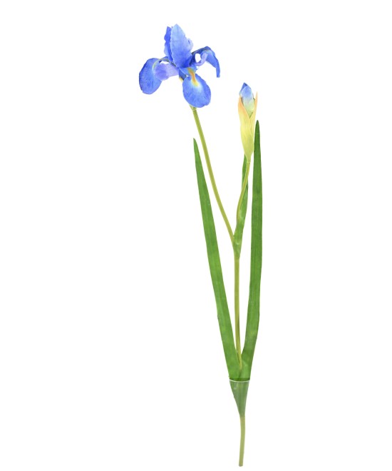 Artificial IRIS