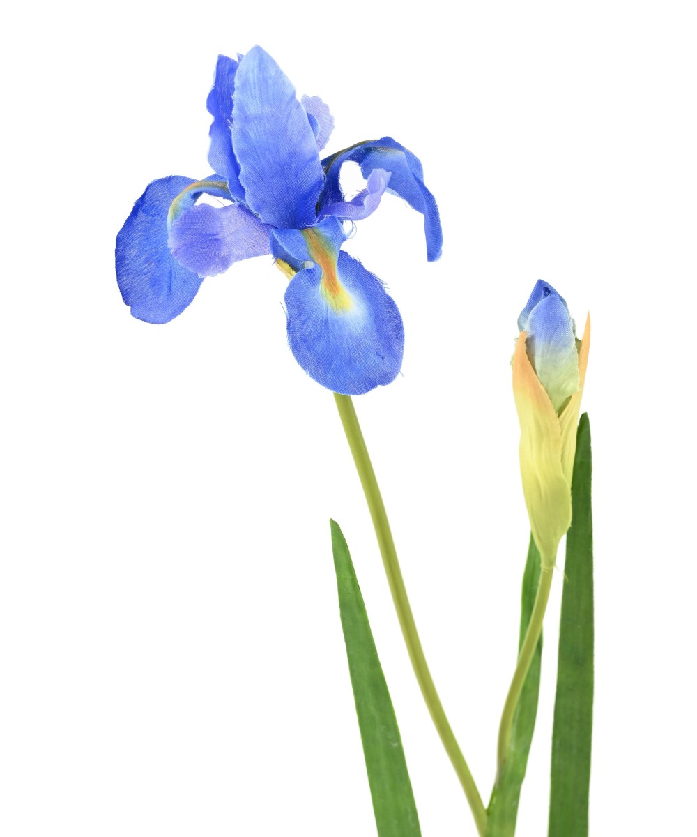 Artificial IRIS