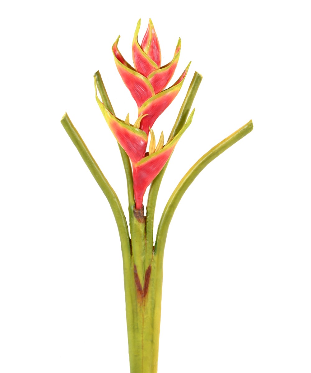 Kunstlik HELICONIA