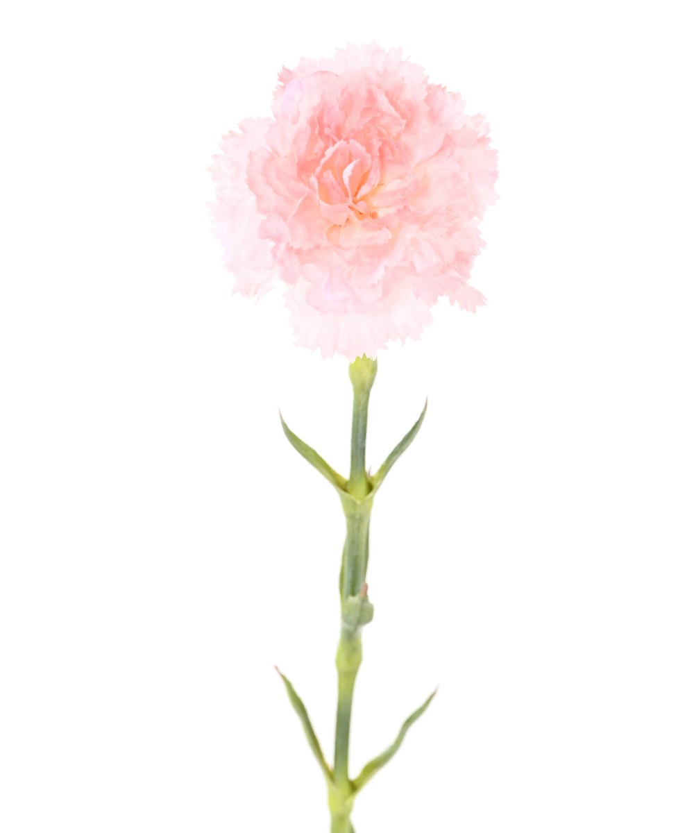 Artificial CARNATION
