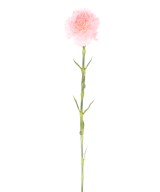 Artificial CARNATION