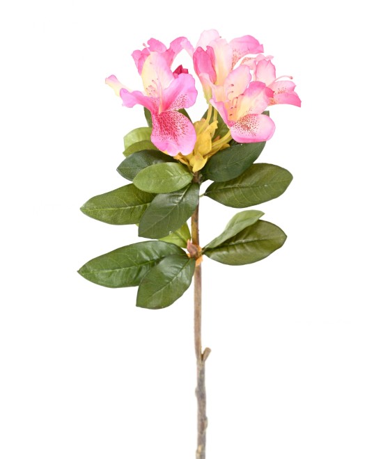 Kunstlik RHODODENDRON