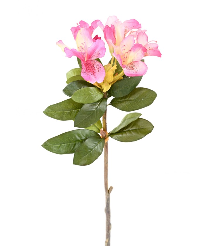 Kunstlik RHODODENDRON