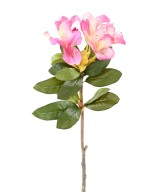 Kunstlik RHODODENDRON