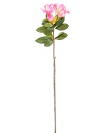 Kunstlik RHODODENDRON