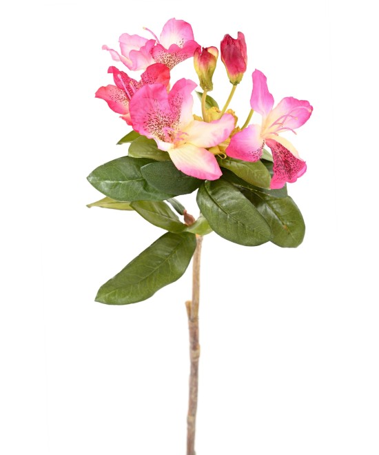 Kunstlik RHODODENDRON