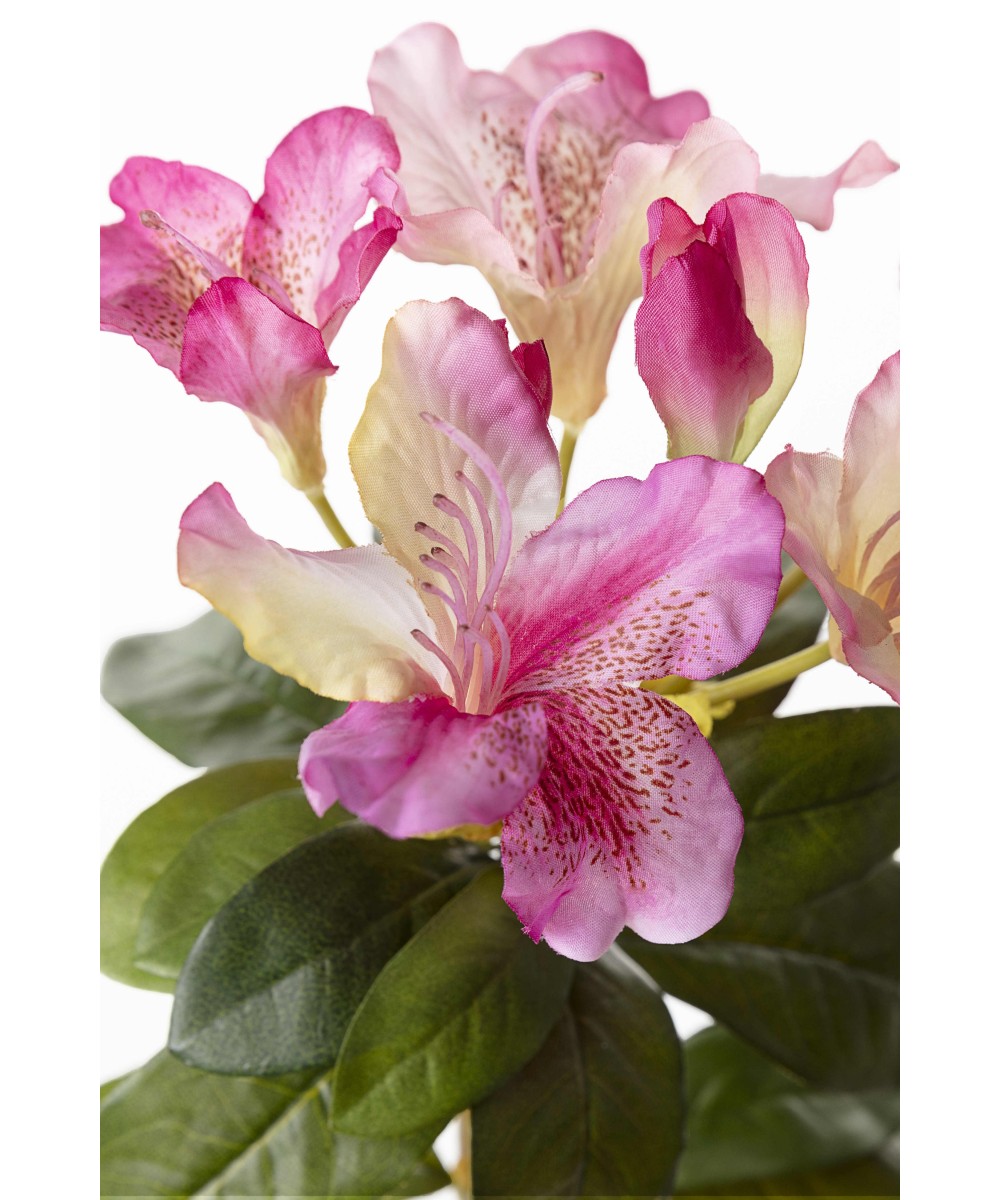Artificial RHODODENDRON
