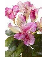 Artificial RHODODENDRON