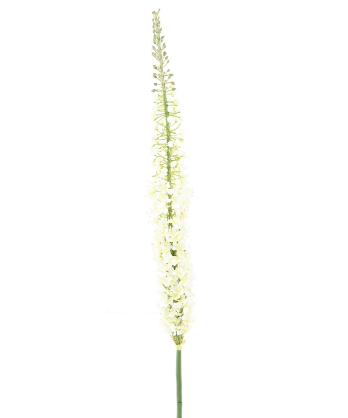 Artificial EREMURUS