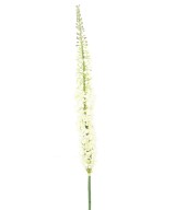 Artificial EREMURUS