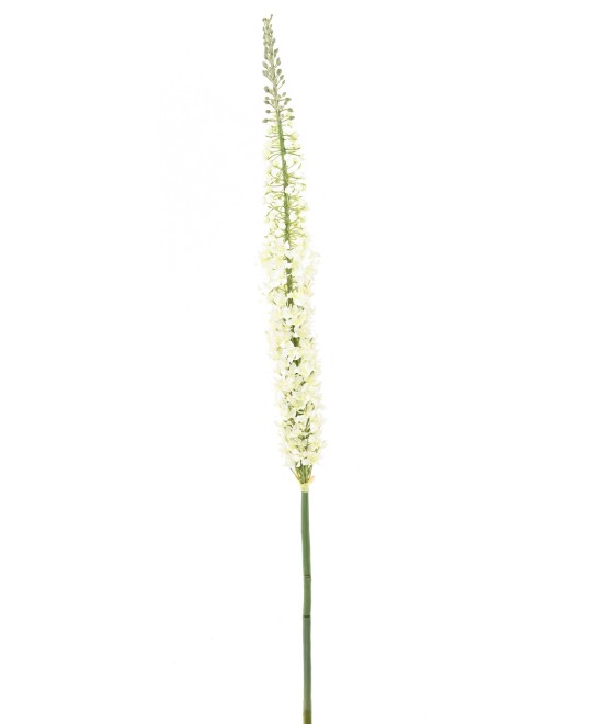 Artificial EREMURUS