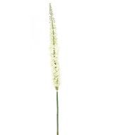 Artificial EREMURUS