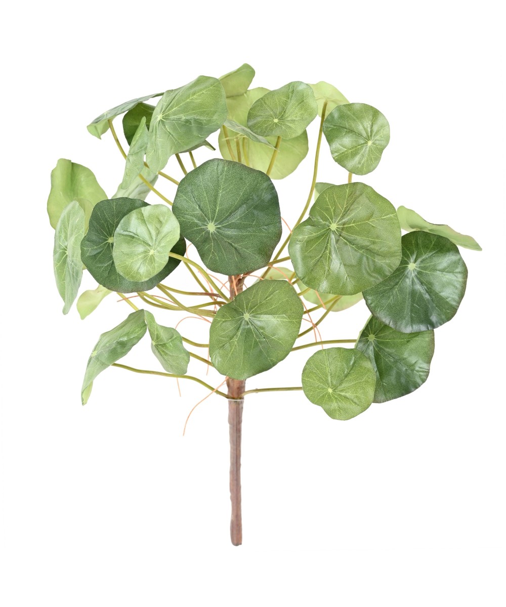 Kunstlik vesikress (Nasturtium)
