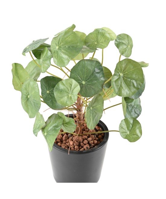 Kunstlik vesikress (Nasturtium)