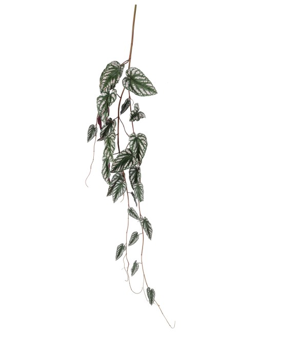 Artificial BEGONIA MACULATA HANGING BUSH