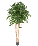 Artificial FICUS EXOTICA MT 260