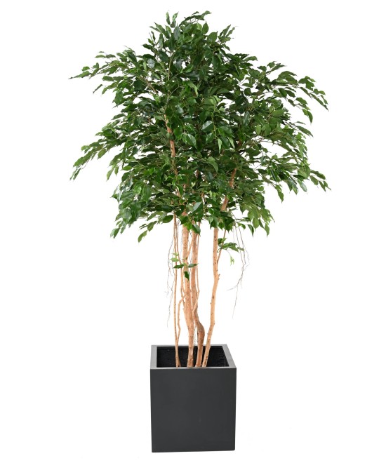 Artificial FICUS EXOTICA MT 260