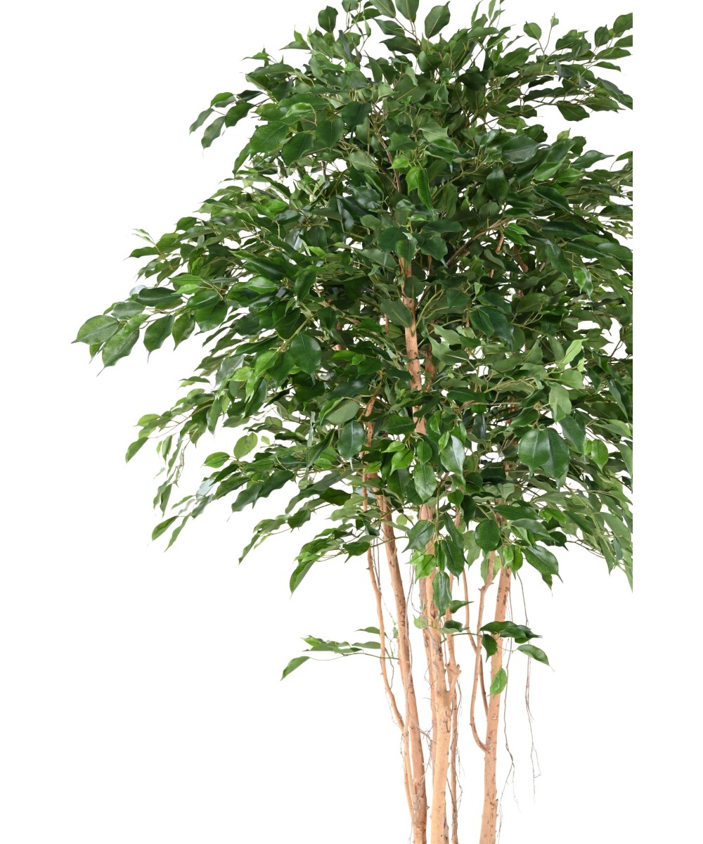 Kunstfikus *Ficus Exotica* MT 260