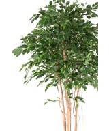 Artificial FICUS EXOTICA MT 260