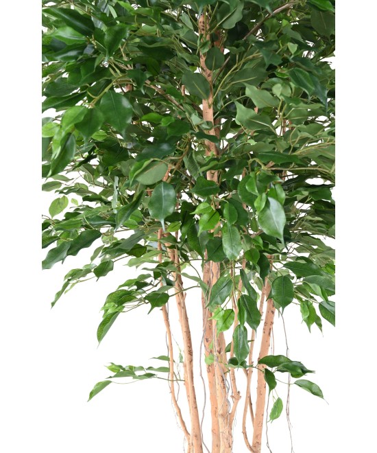 Artificial FICUS EXOTICA MT 260