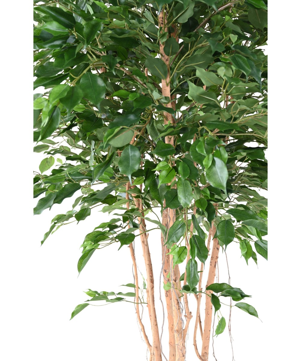 Artificial FICUS EXOTICA MT 260