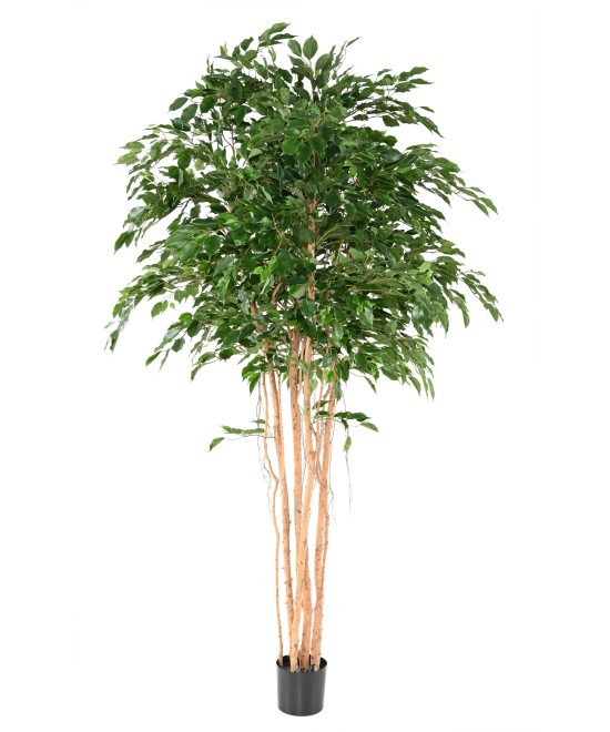 Artificial FICUS EXOTICA MT 260