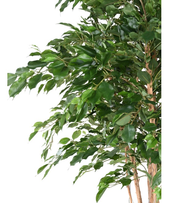 Kunstfikus *Ficus Exotica* MT 260