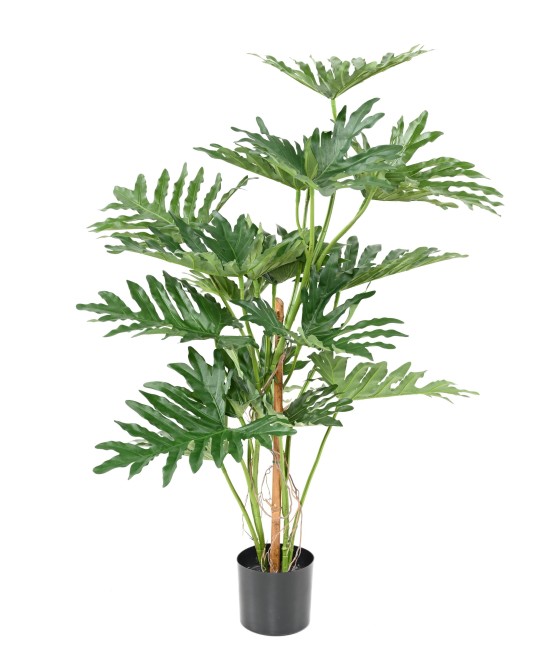 Kunstlik filodendron selloum 120