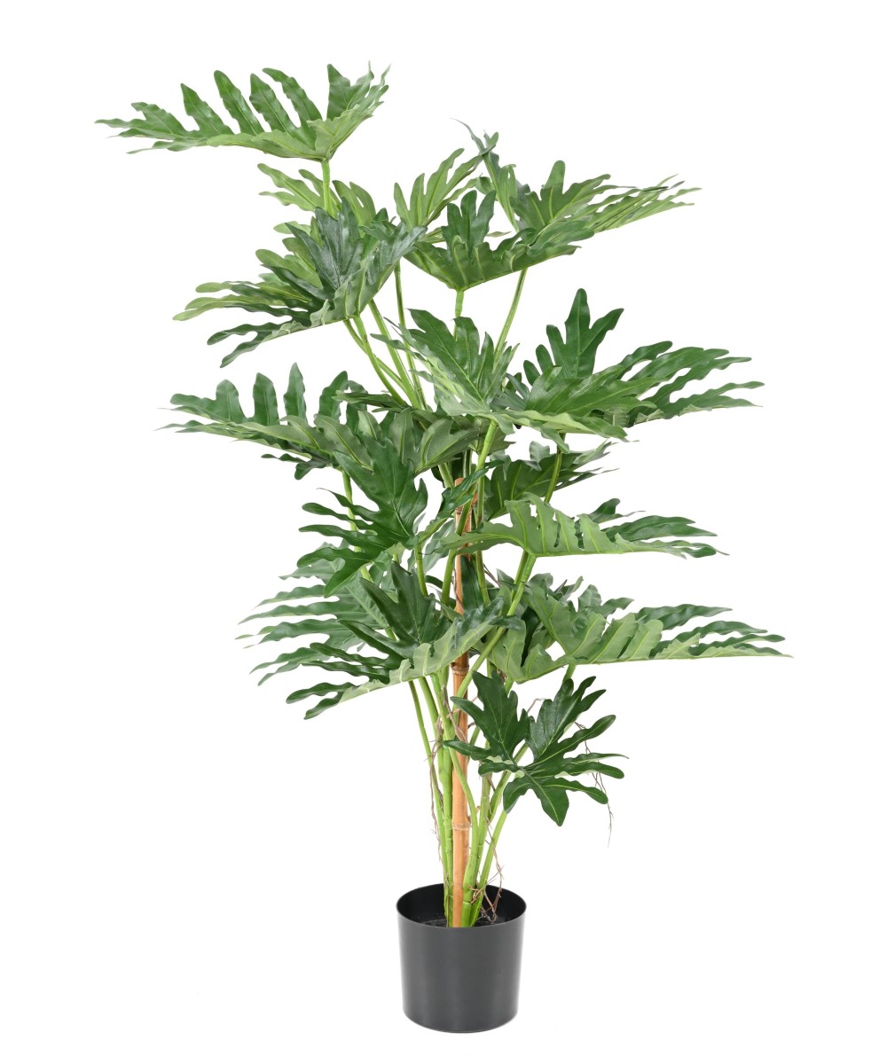 Kunstlik filodendron selloum 120