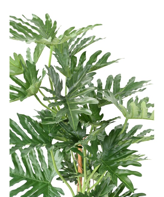 Kunstlik filodendron selloum 120