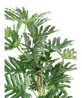 Kunstlik filodendron selloum 120