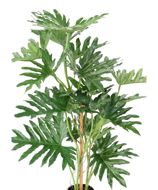 Kunstlik filodendron selloum 120