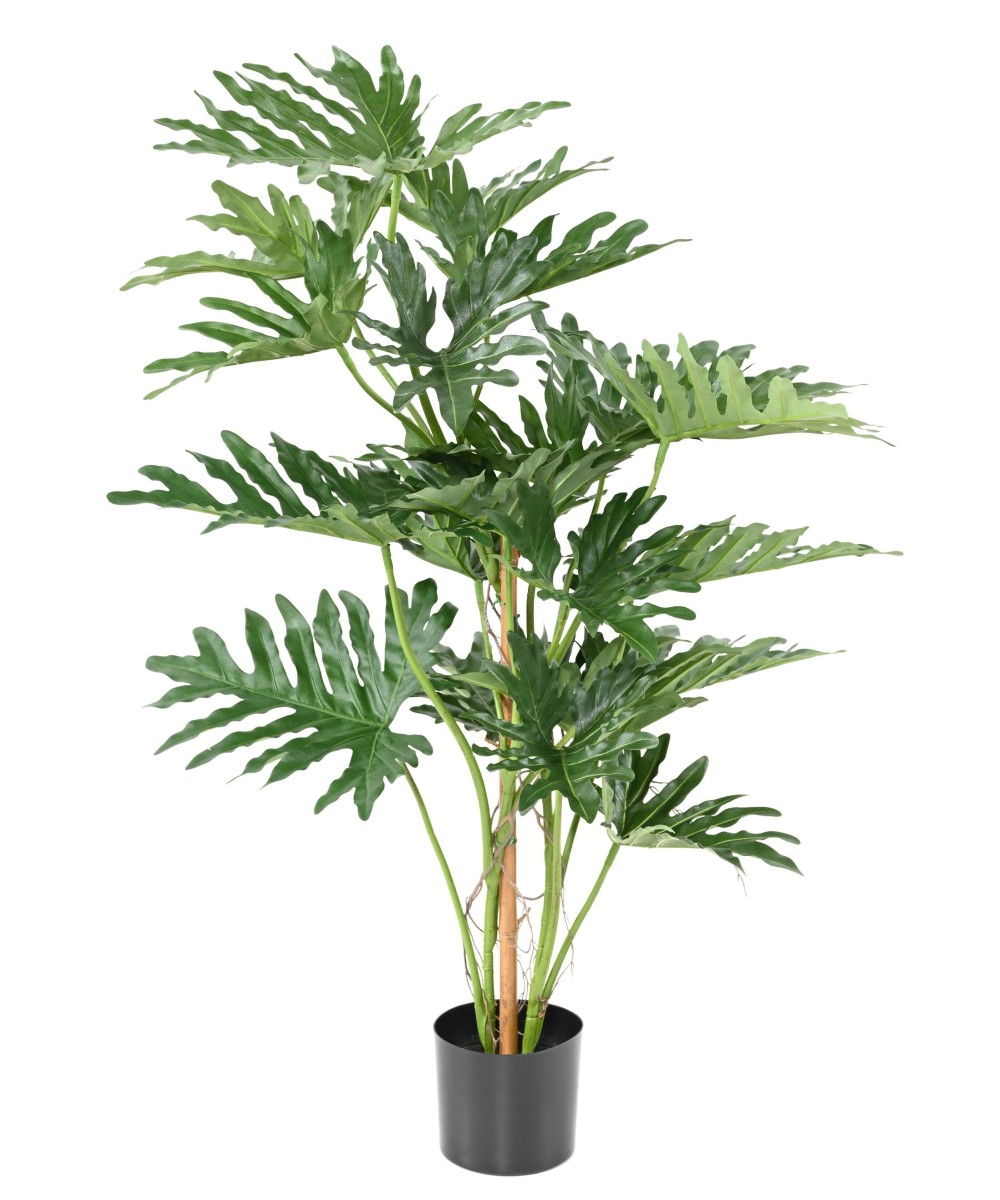 Kunstlik filodendron selloum 120