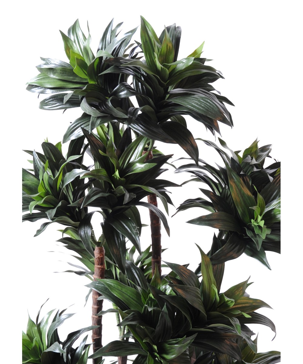 Artificial dracaena FRAGRANS COMPACTA