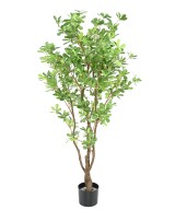 Artificial PITTOSPORUM B