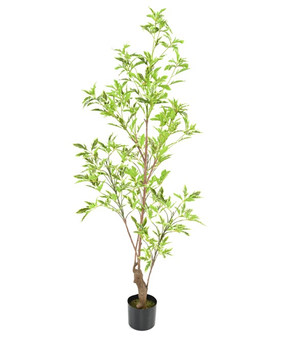 Artificial ARALIA PLERANDRA