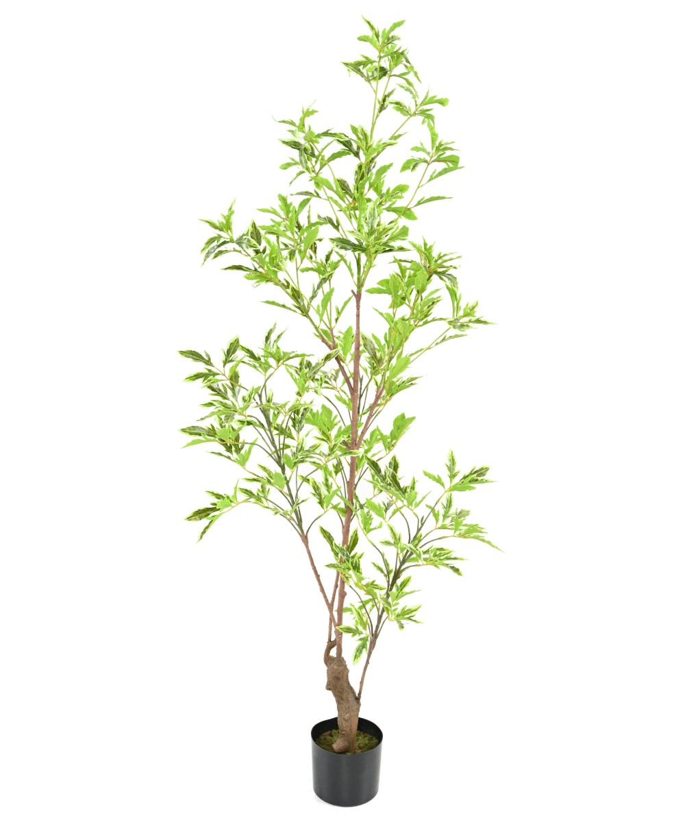 Artificial ARALIA PLERANDRA