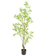 Artificial ARALIA PLERANDRA