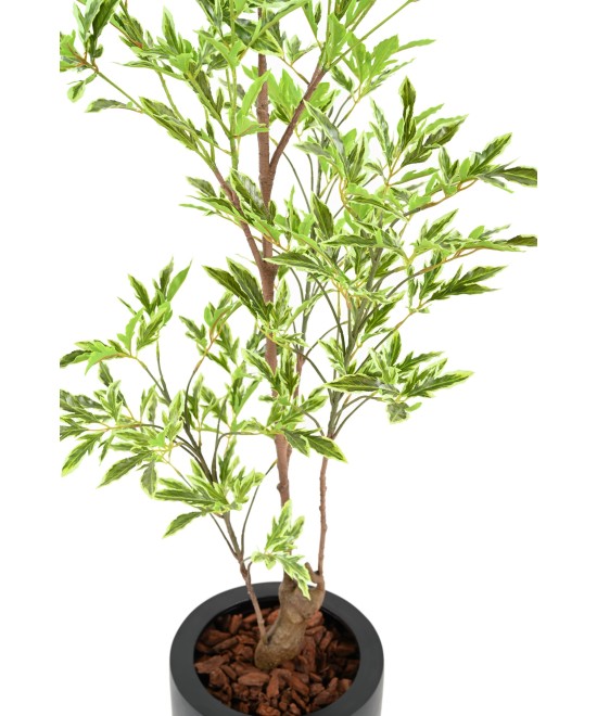 Artificial ARALIA PLERANDRA