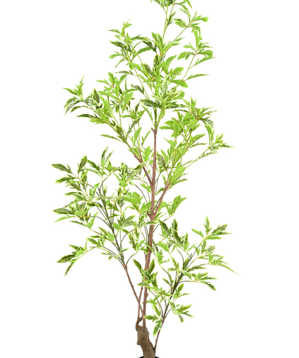 Artificial ARALIA PLERANDRA
