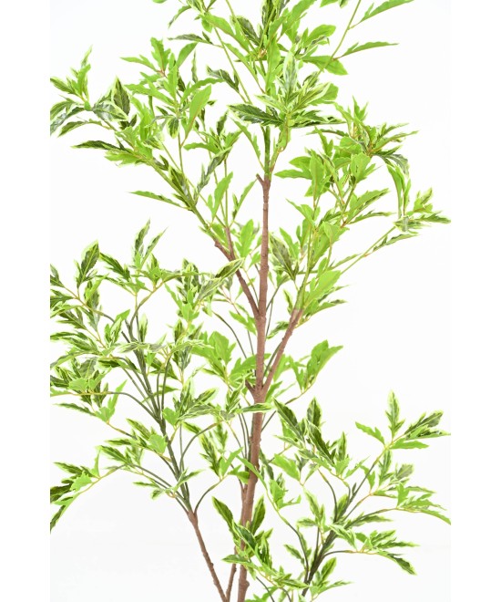 Artificial ARALIA PLERANDRA