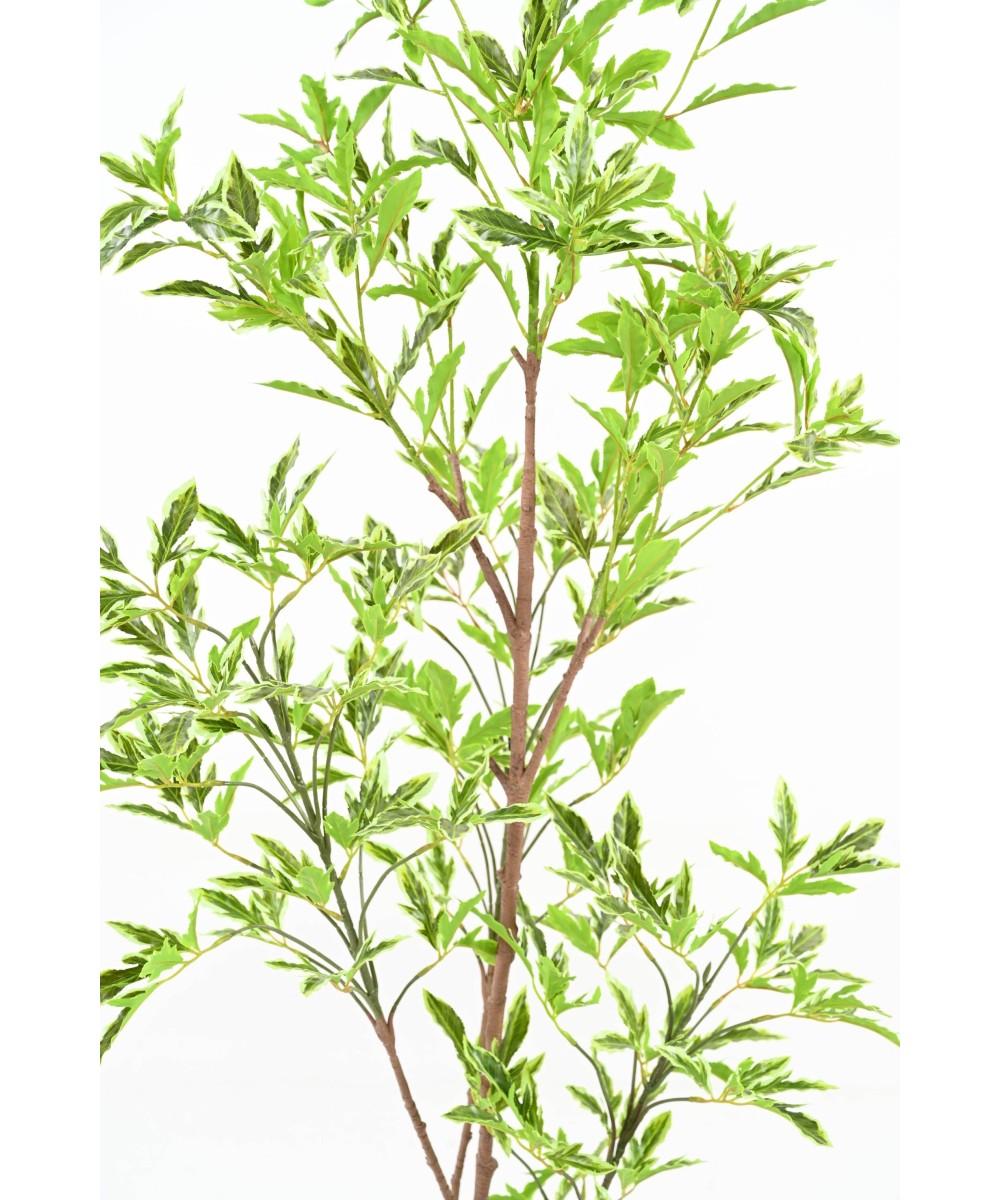 Artificial ARALIA PLERANDRA