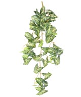 Kunstlik ripppõõsas SYNGONIUM 110