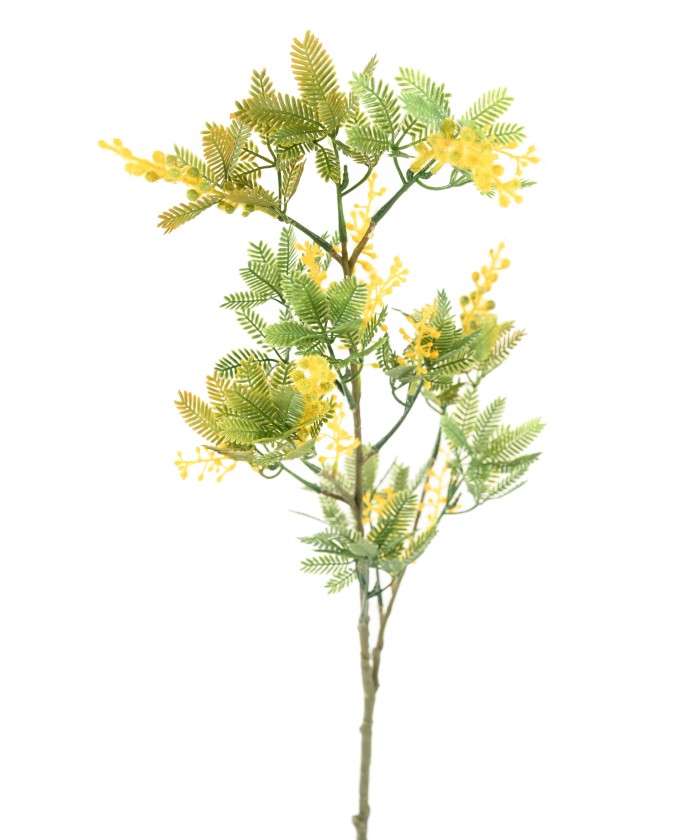 Artificial MIMOSA 80