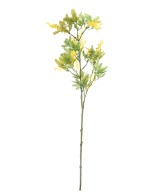 Artificial MIMOSA 80