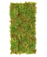 Kunstlik SAMMAL 50 25
