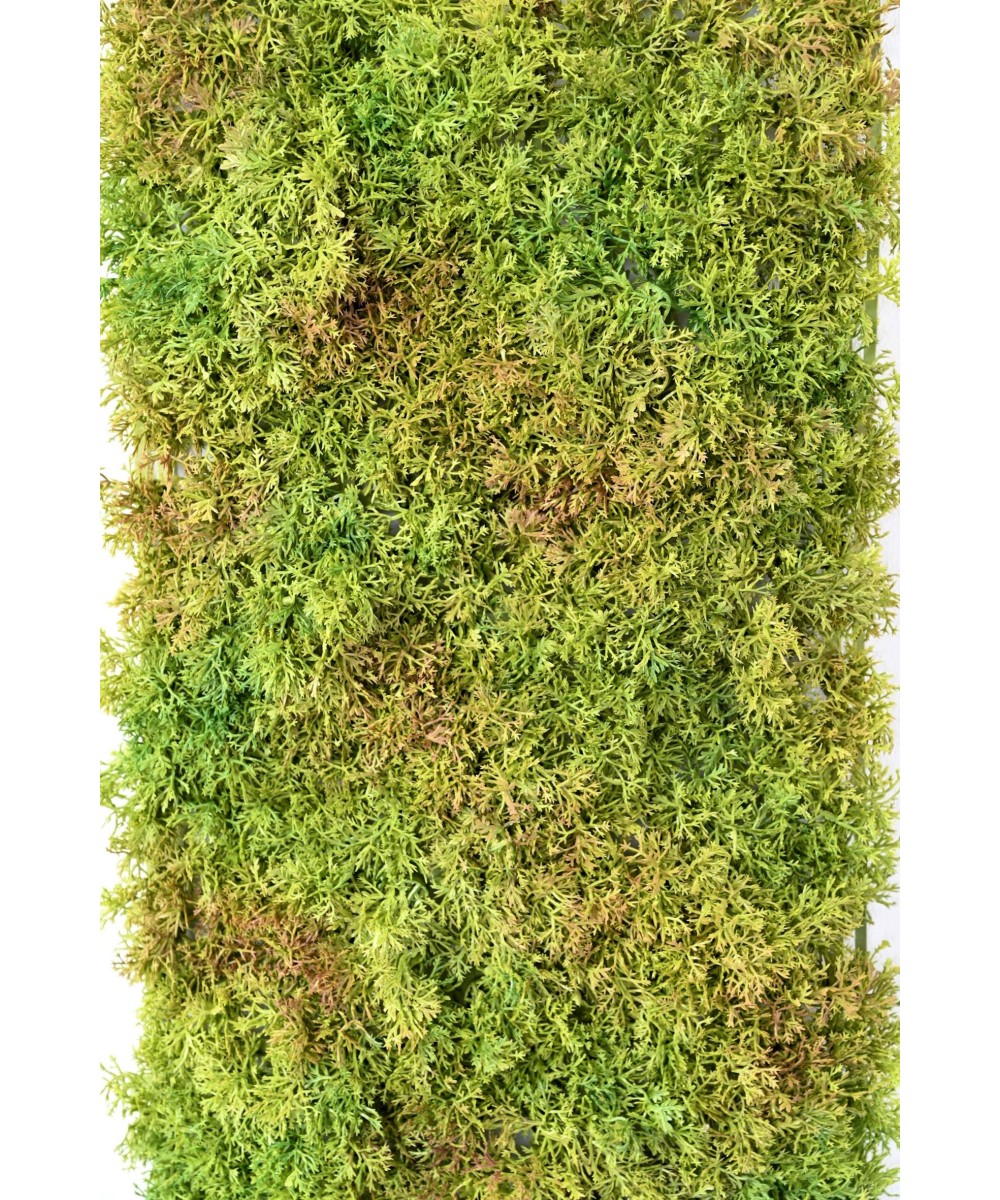 Artificial MOSS 50 25