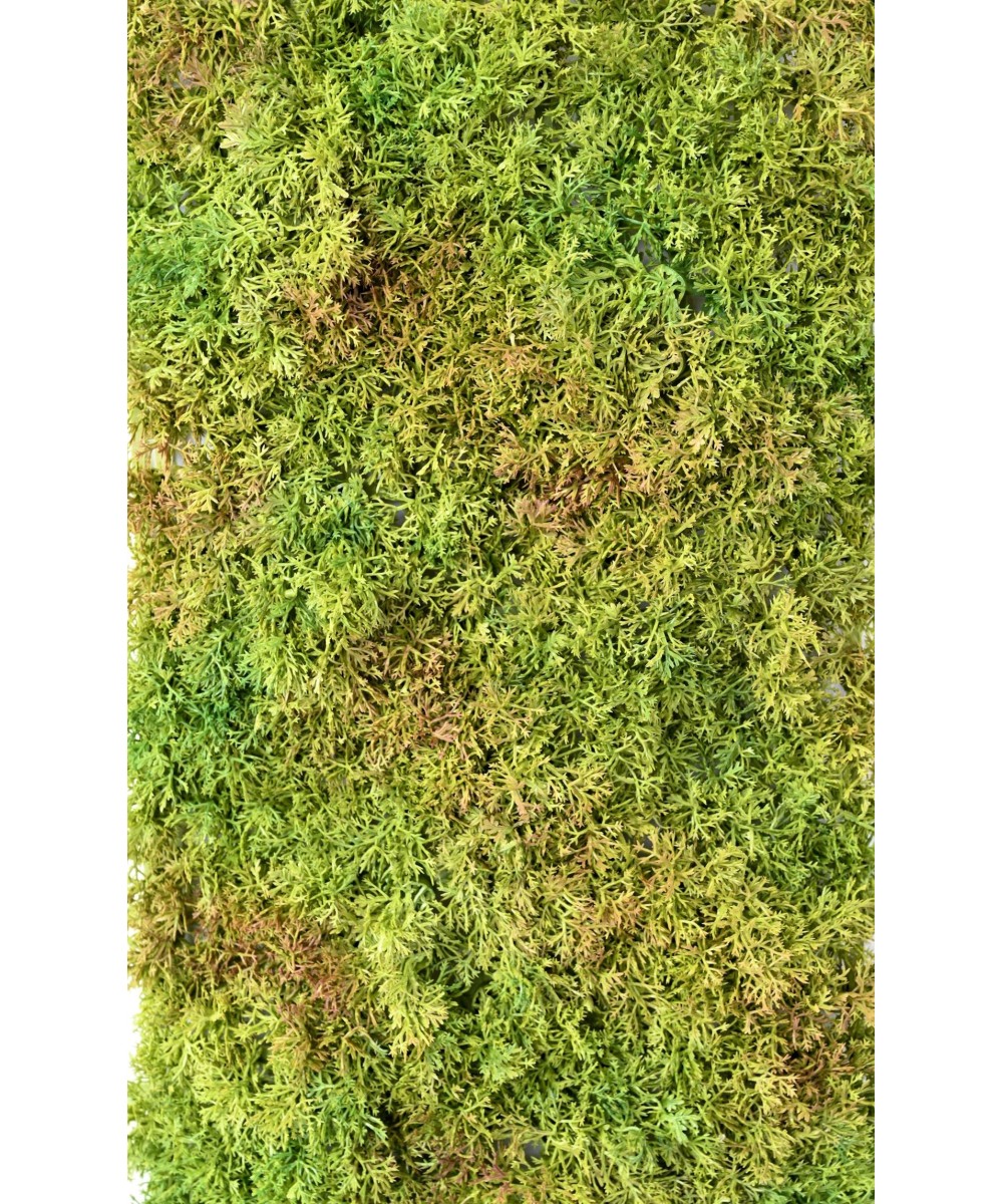Artificial MOSS 50 25