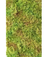 Artificial MOSS 50 25