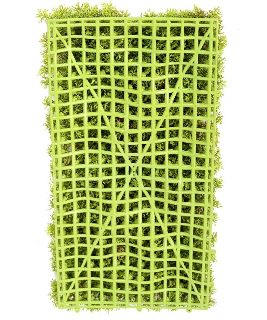 Artificial MOSS 50 25